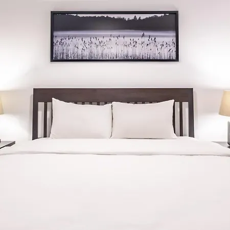 Studio Flat With Lovely Backyard In Nisantasi اسطنبول